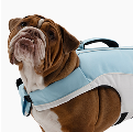 Dog Friendly Co. No-Pull Dog Harness with FREE D-Ring Attachment