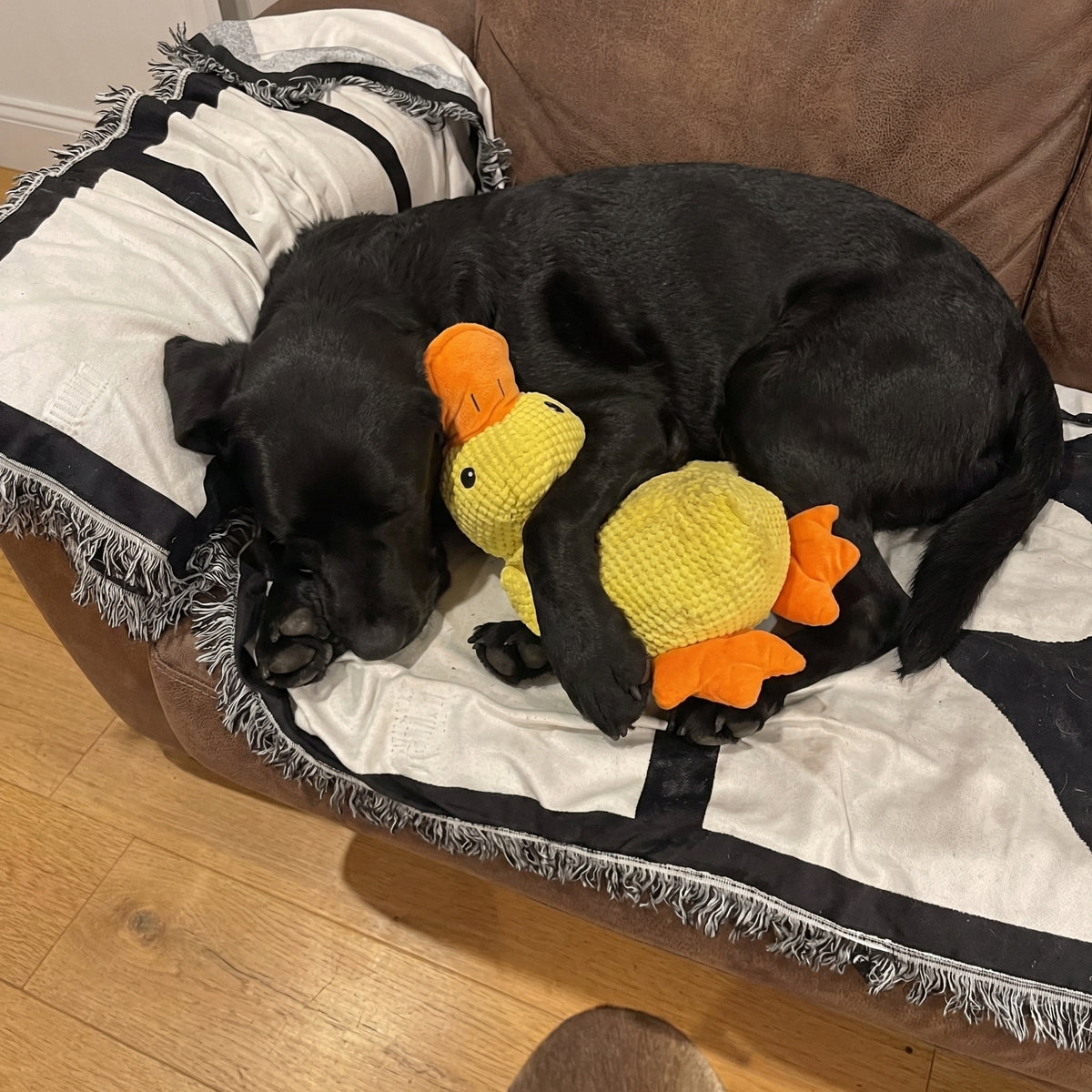 Därför skapade vi WEEM Calming Duck™