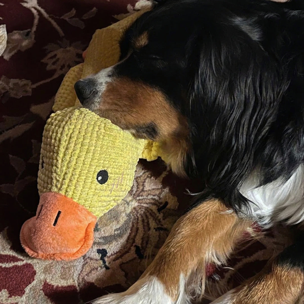 Därför skapade vi WEEM Calming Duck™