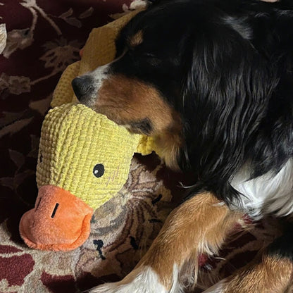 Därför skapade vi WEEM Calming Duck™