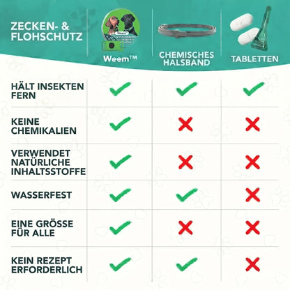 Natürlicher Schutz vor Zecken und Flöhen