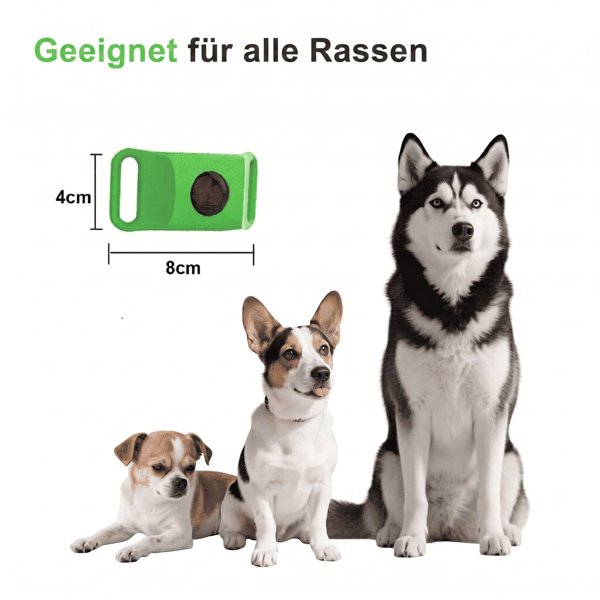 Natürlicher Schutz vor Zecken und Flöhen